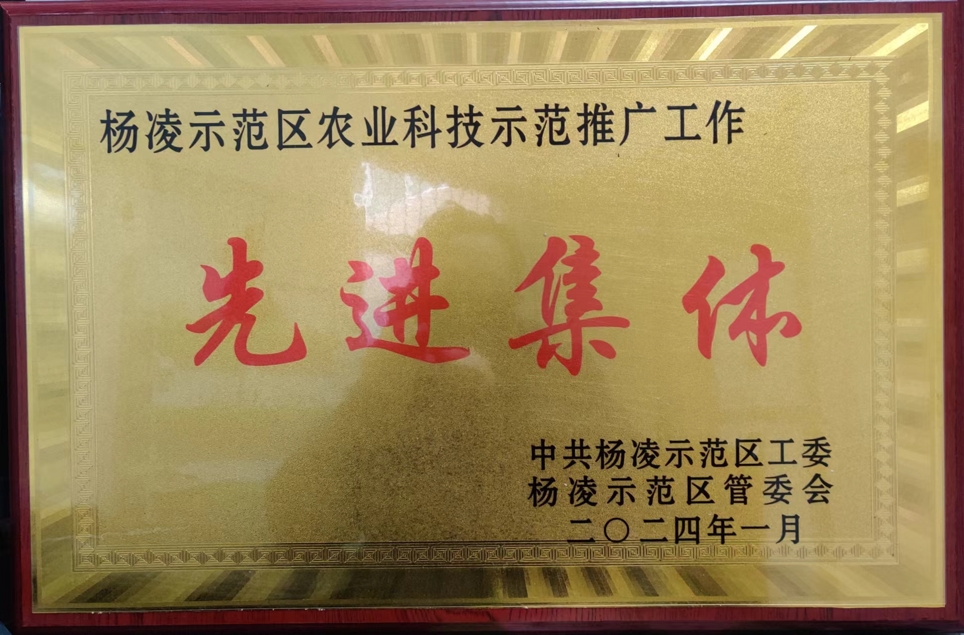 楊凌綠保公司榮獲楊凌示范區農業科技推廣先進集體
